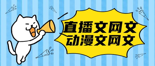 郴州網絡文化經營許可證辦理全攻略 條件、流程與注意事項